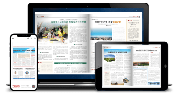 數字報刊